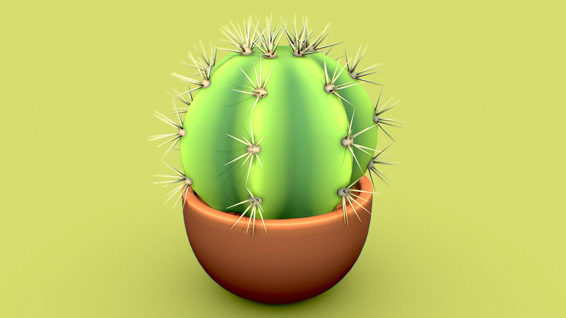 A minimalist cactus in a pot